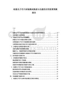 硅基光子芯片封裝測試挑戰與光通信應用前景預測報告