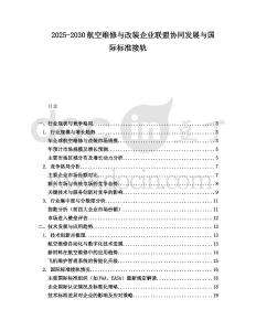 2025-2030航空維修與改裝企業聯盟協同發展與國際標準接軌