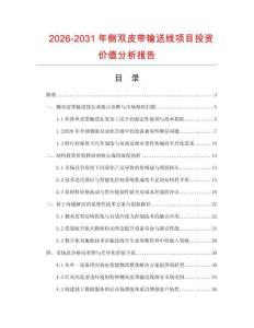 2026-2031年側(cè)雙皮帶輸送線項目投資價值分析報告