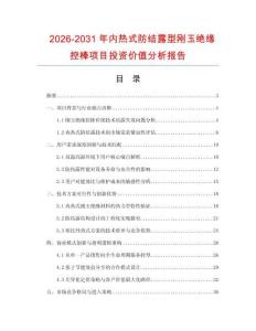 2026-2031年内热式防结露型刚玉绝缘控棒项目投资价值分析报告