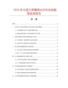 2025年中國大屏幕移動手機電視數據監測報告