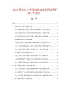2026及未來(lái)5年海綿擦拭布項(xiàng)目投資價(jià)值分析報(bào)告