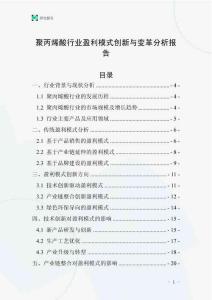 聚丙烯酸行業(yè)盈利模式創(chuàng)新與變革分析報告