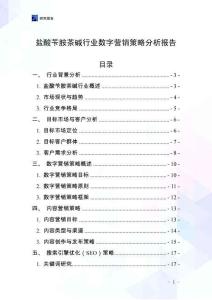 鹽酸芐胺茶堿行業數字營銷策略分析報告