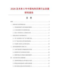2026及未来5年中国电热风筒行业发展研究报告