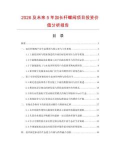 2026及未來5年加長桿蝶閥項目投資價值分析報告