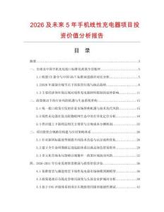 2026及未來5年手機(jī)線性充電器項(xiàng)目投資價(jià)值分析報(bào)告