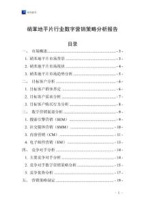 硝苯地平片行业数字营销策略分析报告