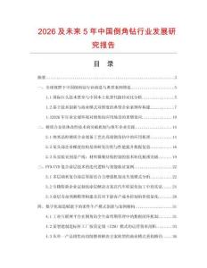 2026及未來5年中國倒角鉆行業發展研究報告