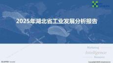 2025年湖北省工業發展分析報告-MIR睿工業