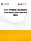 2026年中國鋰離子聚合物高壓電池行業市場現狀調查及投資機會研判報告