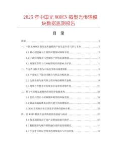 2025年中國光MODEN微型光傳輸模塊數(shù)據(jù)監(jiān)測報告
