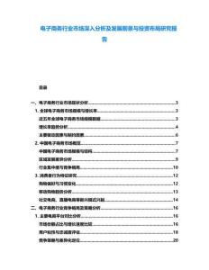 電子商務行業市場深入分析及發展前景與投資布局研究報告