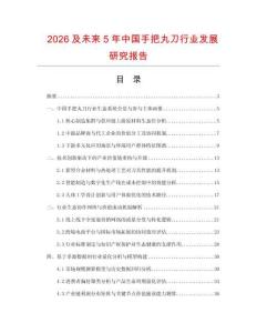 2026及未來5年中國手把丸刀行業發展研究報告