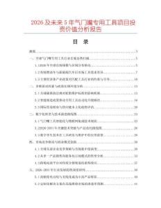2026及未來5年氣門嘴專用工具項目投資價值分析報告