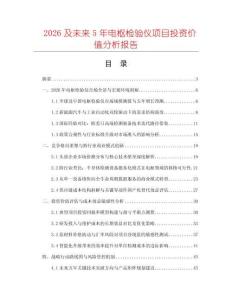 2026及未来5年电枢检验仪项目投资价值分析报告