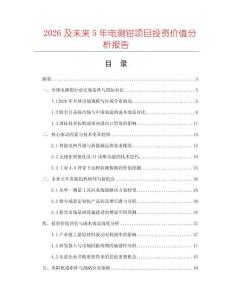 2026及未来5年电测钳项目投资价值分析报告