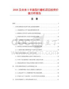2026及未來5年直型打磨機項目投資價值分析報告
