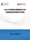 2026年中國鉆石微雕喚膚儀行業市場規模及競爭格局分析報告