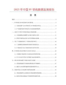 2025年中國RV軟線數據監測報告