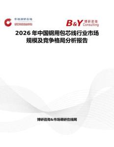 2026年中國鋼用包芯線行業市場規模及競爭格局分析報告