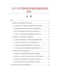 2025年中国单倾永磁吸盘数据监测报告