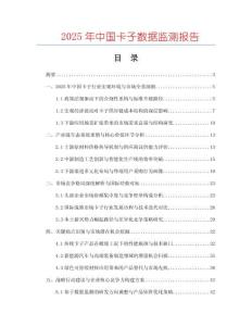 2025年中國卡子數據監測報告