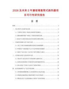 2026及未来5年搪玻璃套筒式换热器项目可行性研究报告