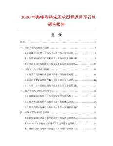 2026年路緣彩磚液壓成型機(jī)項(xiàng)目可行性研究報(bào)告