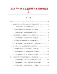 2025年中國七星皮膚針市場調(diào)查研究報告