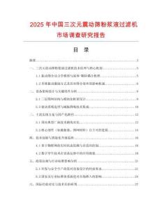 2025年中國三次元震動篩粉漿液過濾機市場調查研究報告