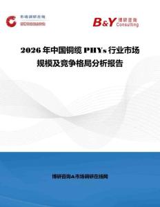 2026年中國銅纜PHYs行業市場規模及競爭格局分析報告