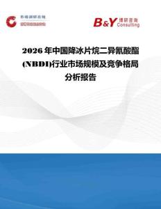 2026年中國降冰片烷二異氰酸酯 (NBDI)行業市場規模及競爭格局分析報告