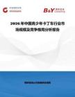 2026年中国青少年卡丁车行业市场规模及竞争格局分析报告