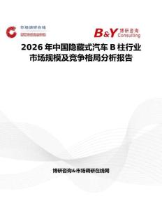 2026年中國隱藏式汽車B柱行業市場規模及競爭格局分析報告