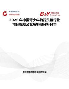 2026年中國青少年騎行頭盔行業(yè)市場規(guī)模及競爭格局分析報告