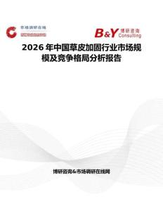 2026年中國草皮加固行業(yè)市場規(guī)模及競爭格局分析報告