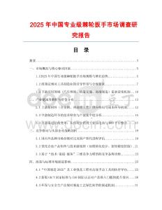 2025年中國專業級棘輪扳手市場調查研究報告