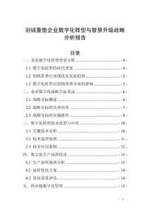 羽絨靠墊企業(yè)數(shù)字化轉(zhuǎn)型與智慧升級(jí)戰(zhàn)略分析報(bào)告