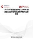 2026年中国表面声波 (SAW) 探测器行业市场规模及竞争格局分析报告