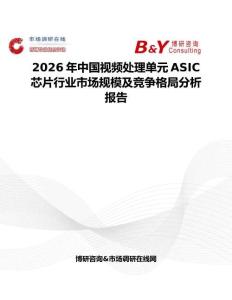 2026年中國視頻處理單元ASIC芯片行業市場規模及競爭格局分析報告