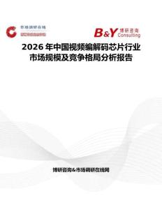 2026年中國視頻編解碼芯片行業市場規模及競爭格局分析報告