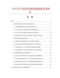 2025年中國寬帶接續(xù)盒數(shù)據(jù)監(jiān)測報告