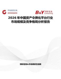 2026年中國資產(chǎn)令牌化平臺行業(yè)市場規(guī)模及競爭格局分析報告