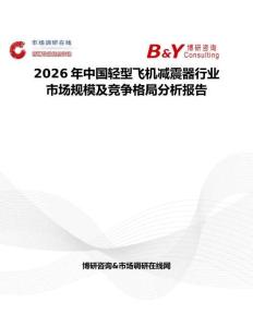 2026年中國輕型飛機減震器行業市場規模及競爭格局分析報告