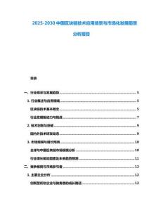 2025-2030中國區(qū)塊鏈技術(shù)應(yīng)用場景與市場化發(fā)展前景分析報告