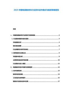 2025中國電接觸材料行業資本運作模式與融資策略報告