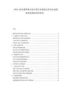 2025-2030俄羅斯石油開采行業現狀分析及未來投資前景規劃分析研究