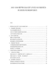2025-2030俄羅斯石油天然氣開采行業市場供需分析及投資評估規劃研究報告