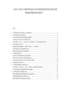 2025-2030互聯網科技行業風險投資發展分析及投資融資策略研究報告